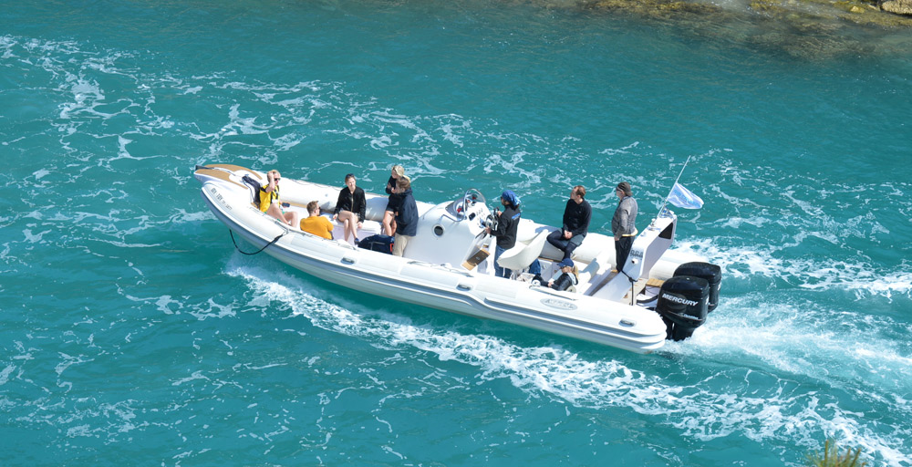 rent a boat rent a boat